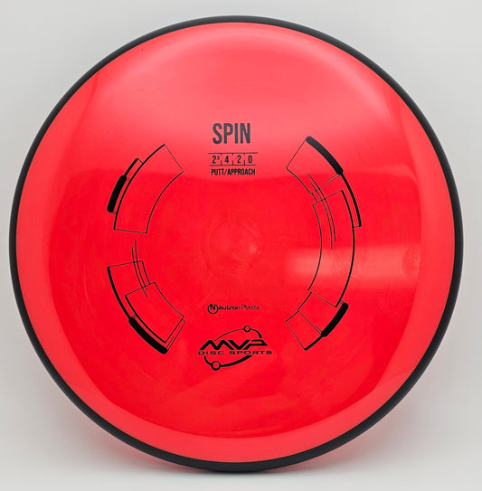 Neutron Spin