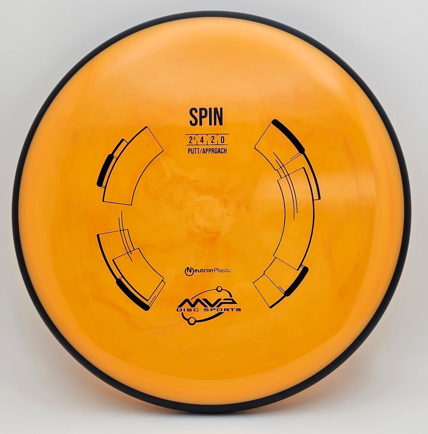 Neutron Spin